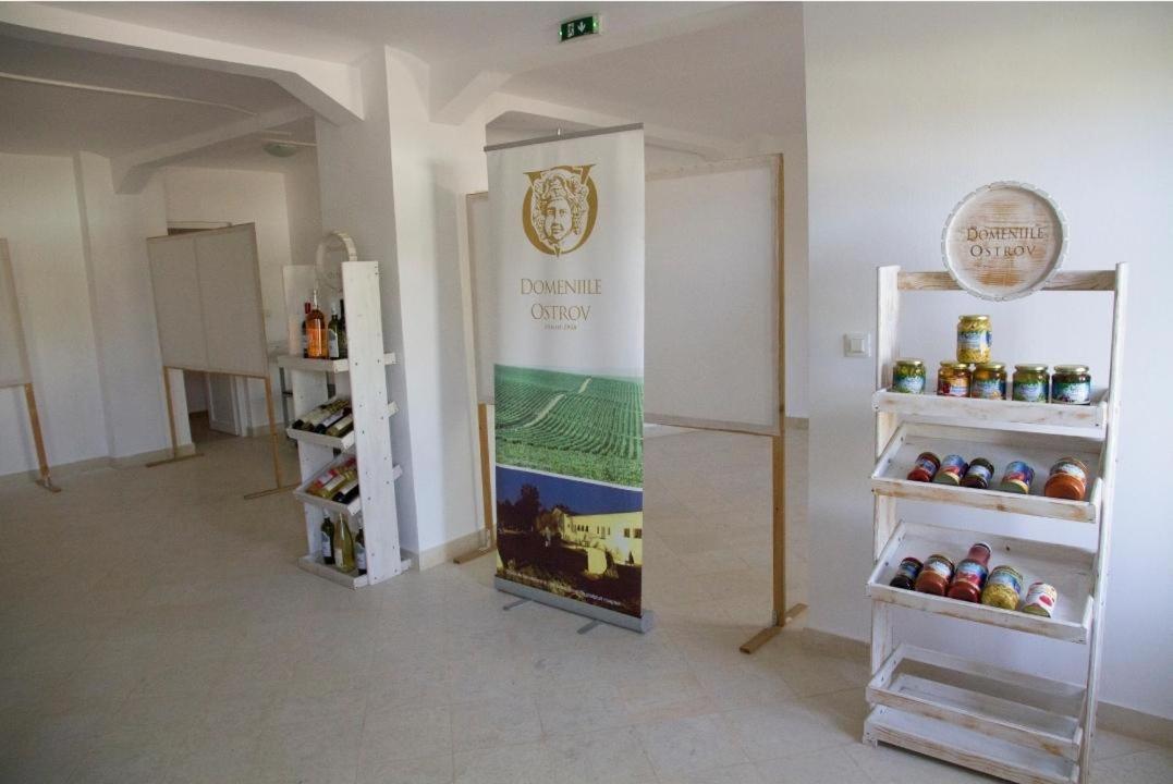 فيلا Naiada Ostrov المظهر الخارجي الصورة